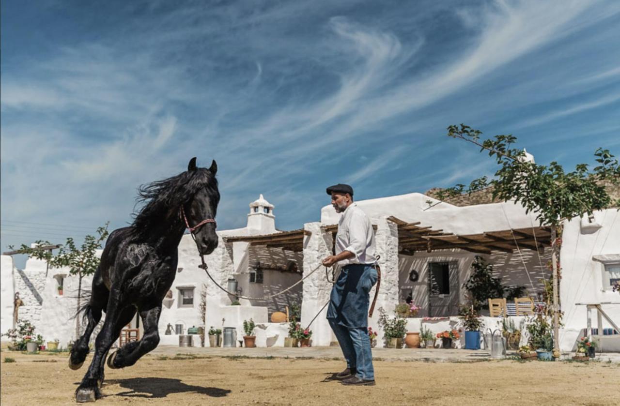 Rizes Mykonos - Folklore Farmstead Farm stay *