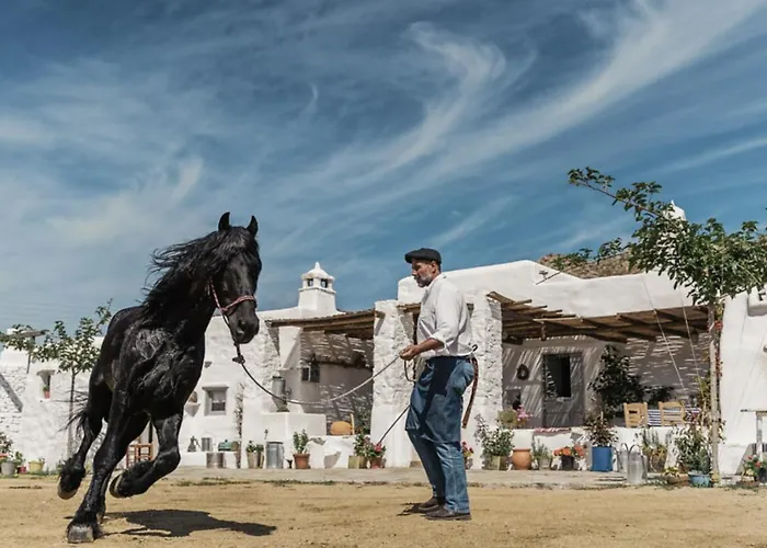 Rizes Mykonos - Folklore Farmstead
